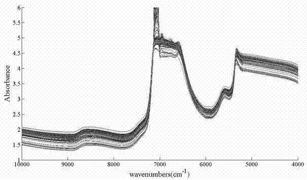 A method for rapid determination of hyaluronic acid content in fermented broth