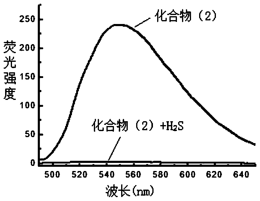 A kind of nbd-organic amine fluorescent probe and its preparation method and application