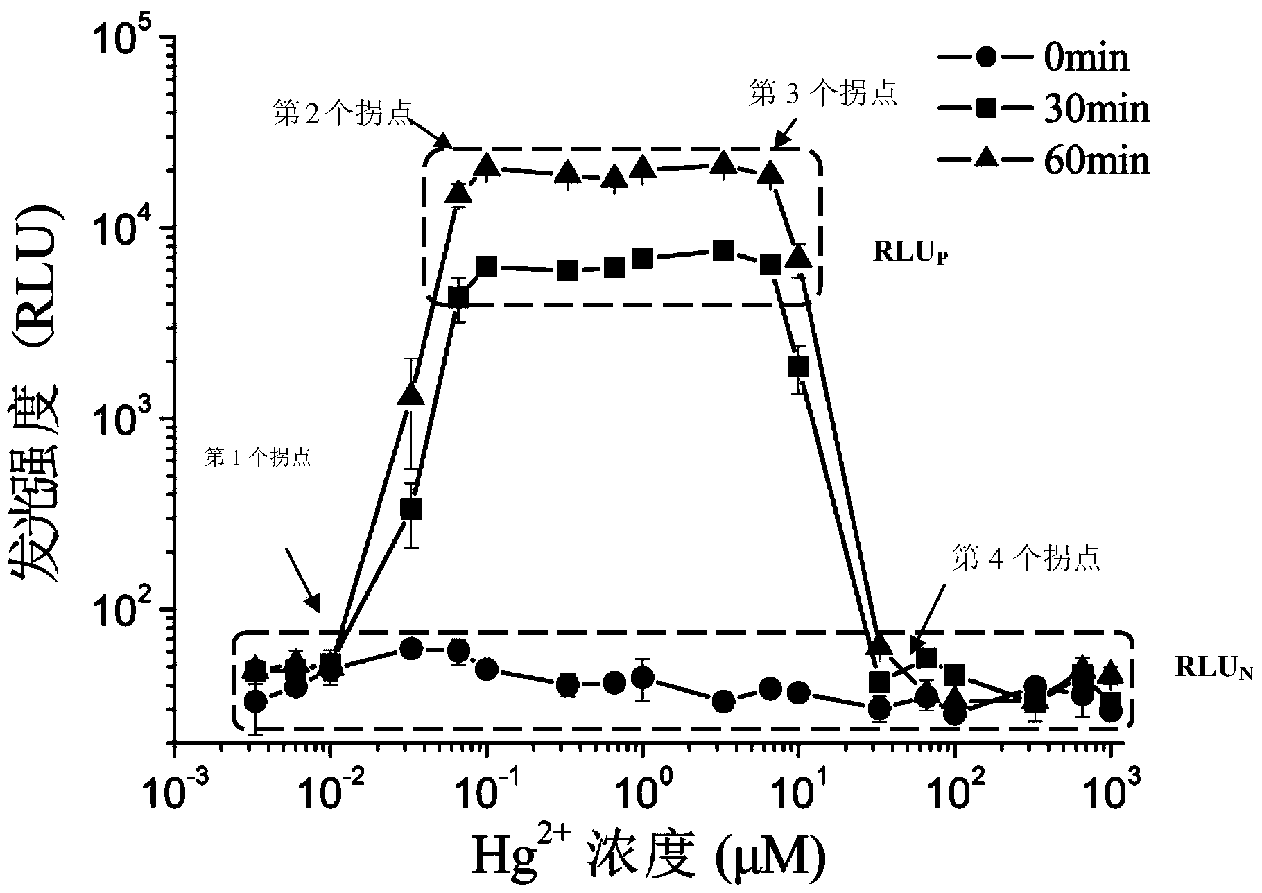 Recombinant luminous bacteria and application thereof