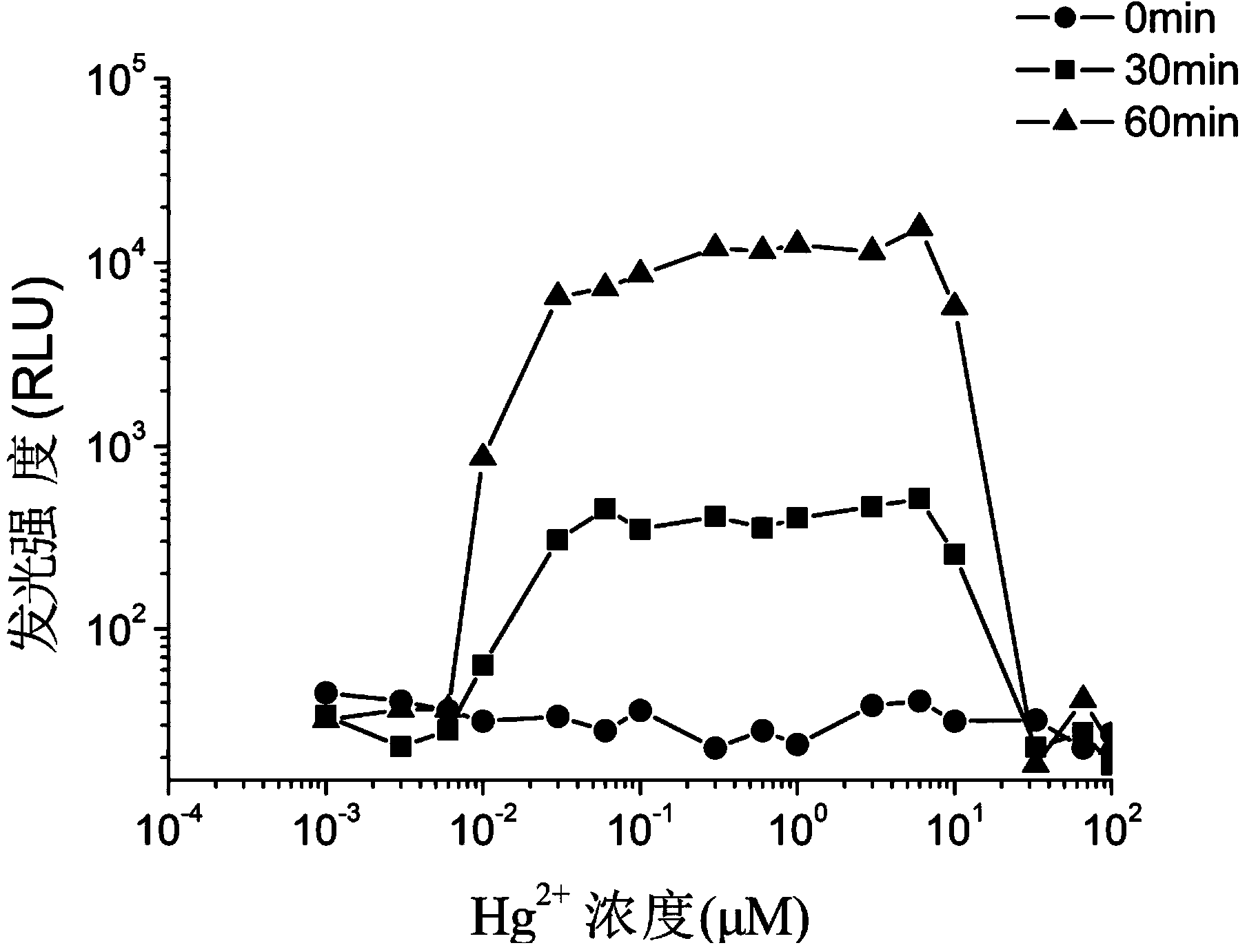 Recombinant luminous bacteria and application thereof