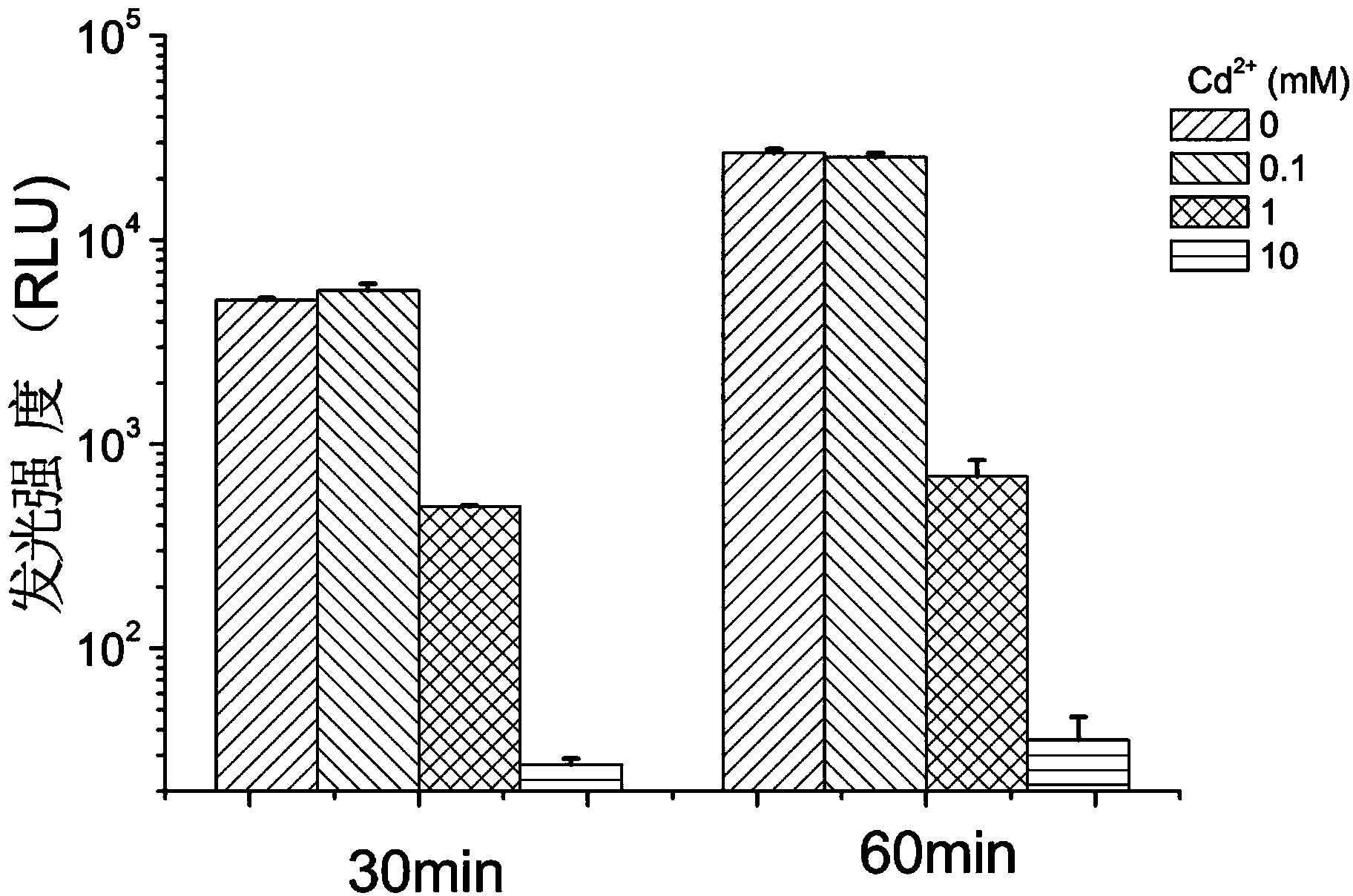 Recombinant luminous bacteria and application thereof