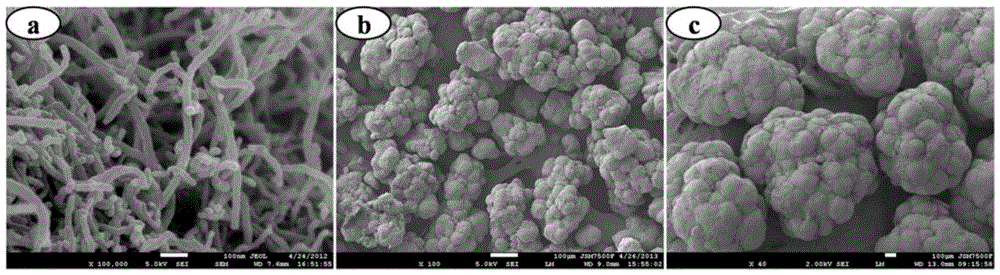 A method for preparing conductive polymer composite material with isolation structure