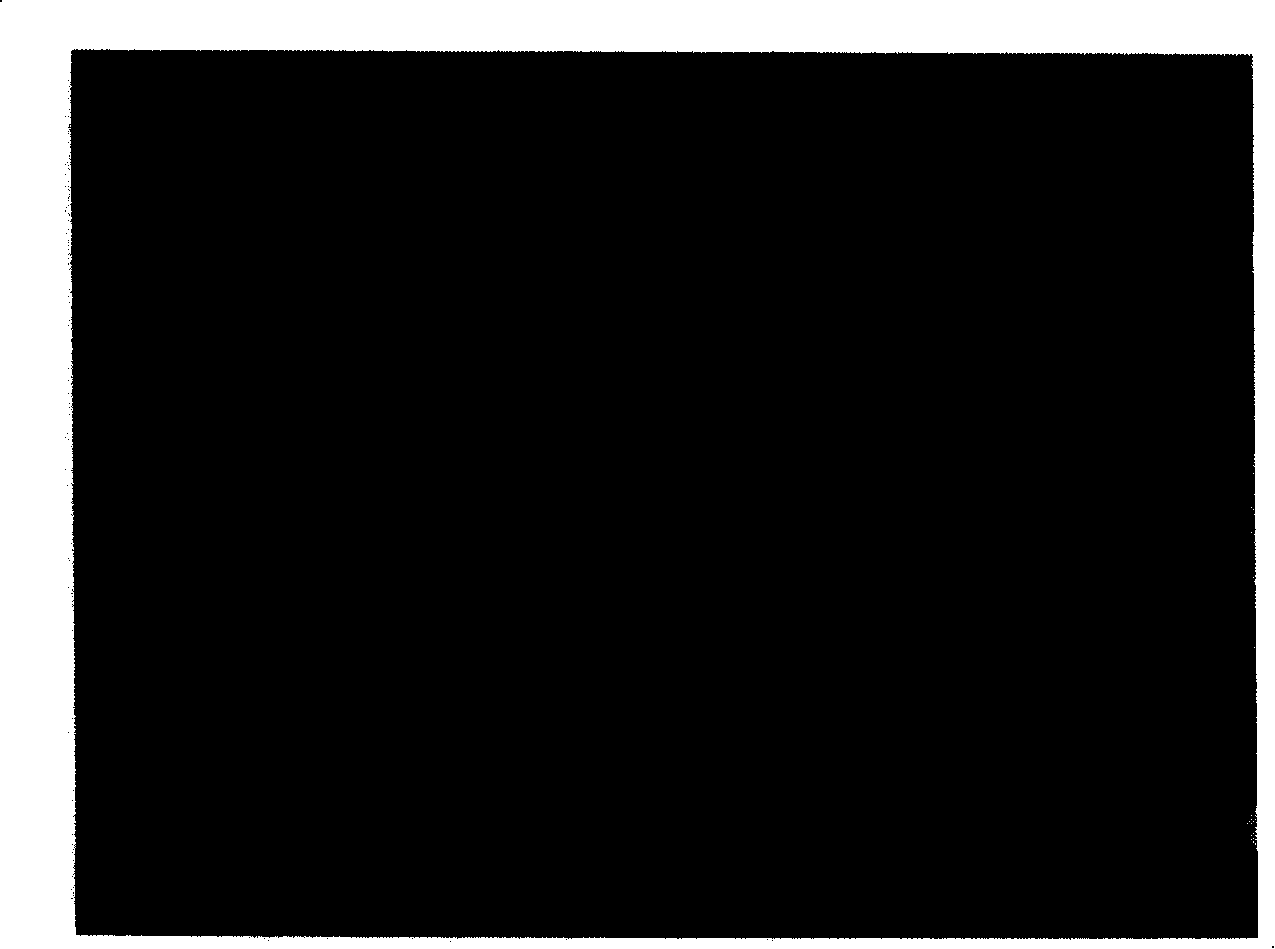 Chemical preparing process for flake micron silver powder