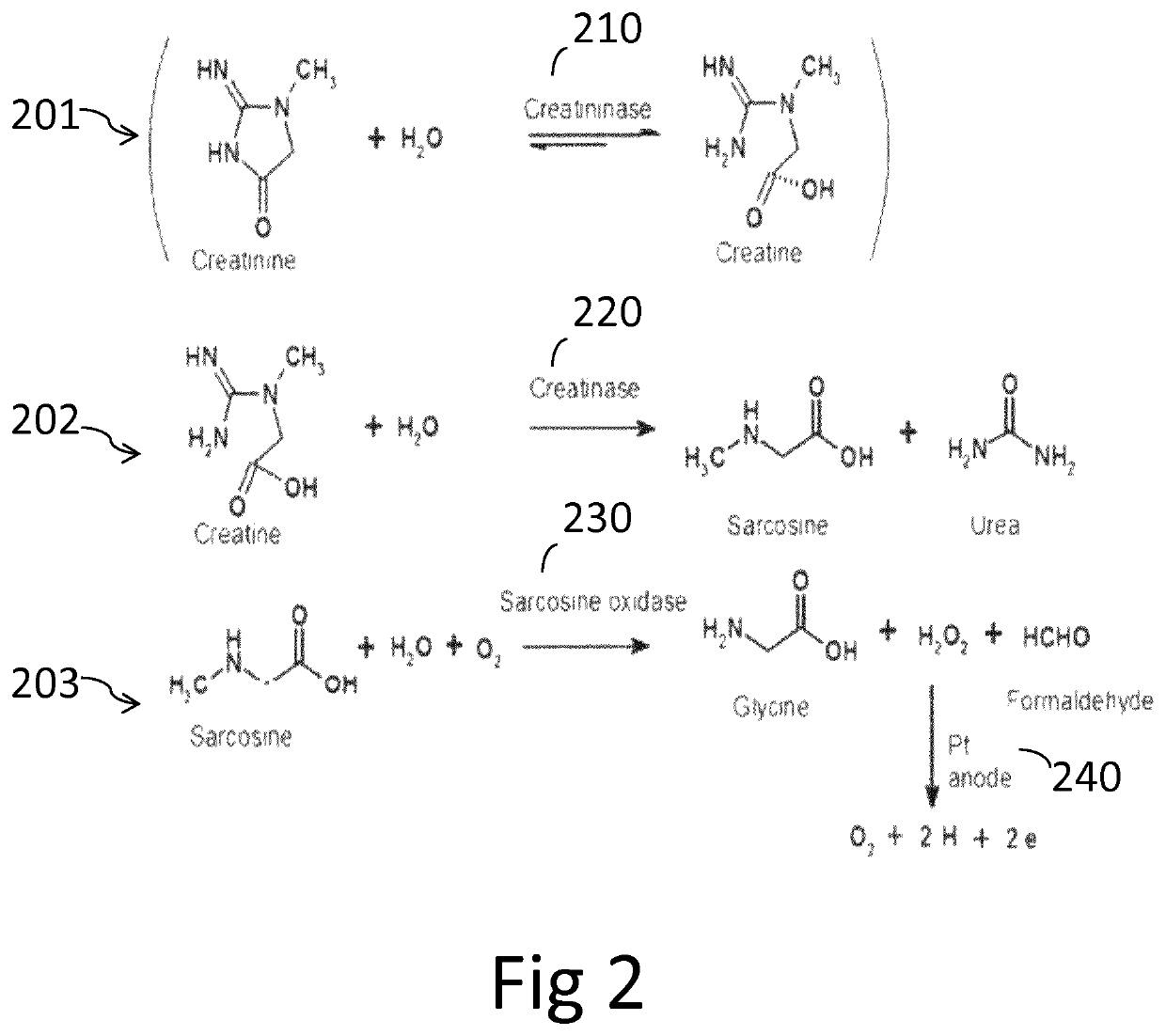 Method for correcting Crea sensor for calcium inhibition