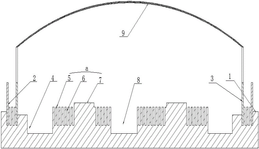 Semi-dry rice field for imitating eel cultivating system and cultivating method thereof