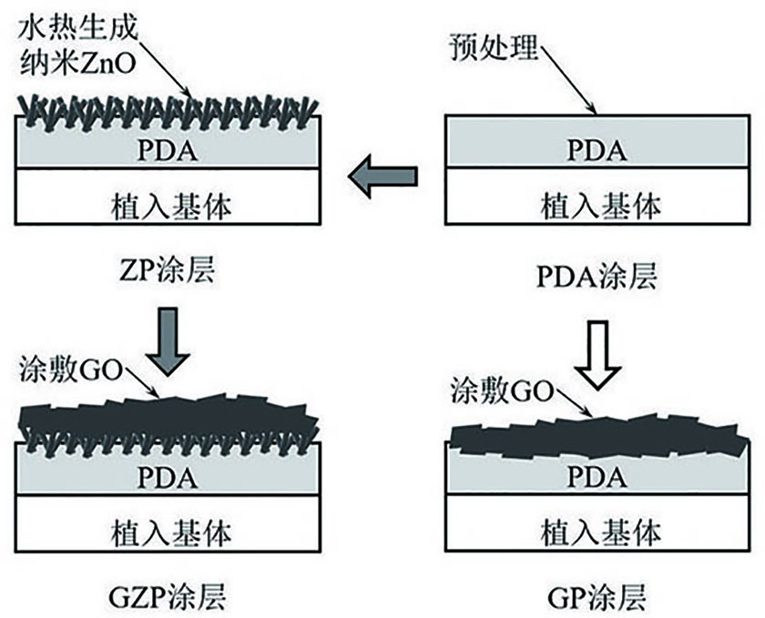 Antibacterial and corrosion-resistant nano-composite coating strongly combined with implant and preparation method thereof