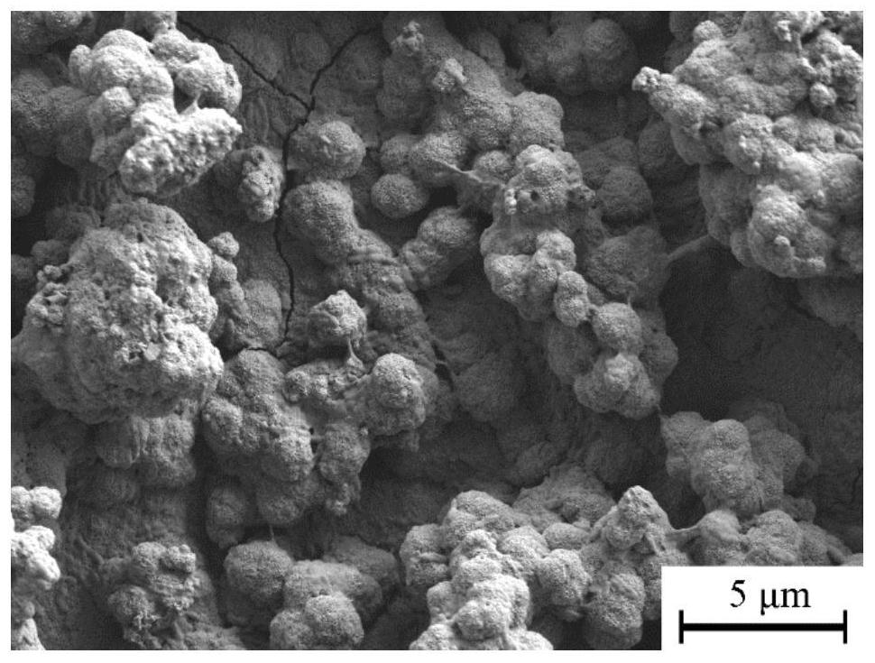 Bone repair titanium-molybdenum-based hydroxyapatite composite material and preparation method thereof