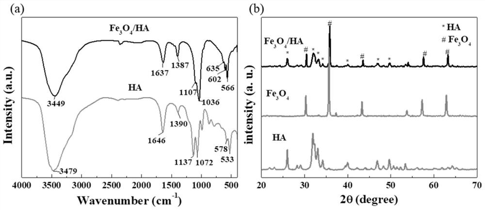 Method for improving biological friction and corrosion resistance of titanium alloy surface