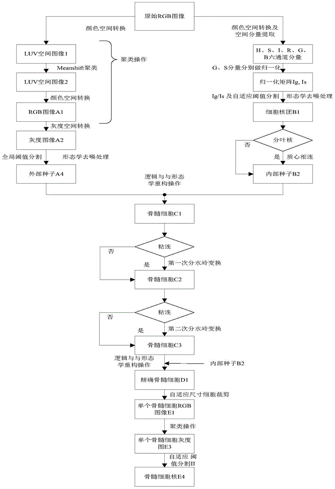 AML cell segmentation method based on Meanshift cluster and morphological operations