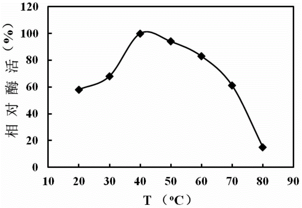 L-glutamate oxidase gene from Streptomyces griseoflavus as well as preparation method and application of L-glutamate oxidase gene