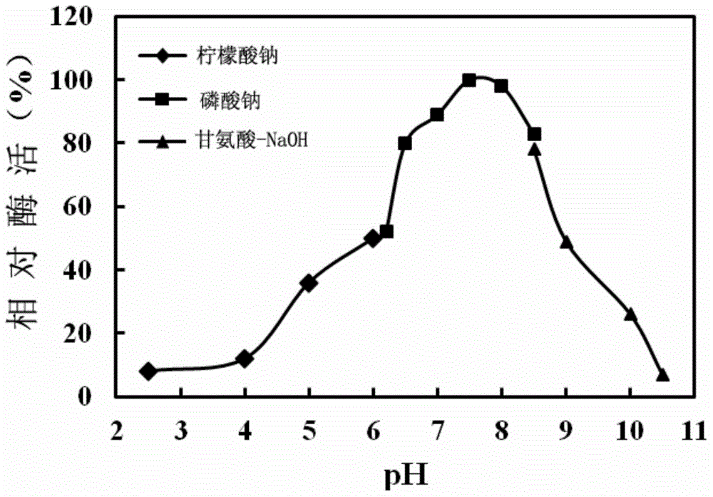 L-glutamate oxidase gene from Streptomyces griseoflavus as well as preparation method and application of L-glutamate oxidase gene