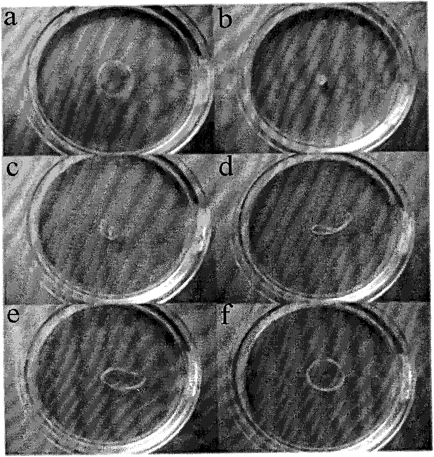 Biodegradable shape-memory material based on D,L-polylactic acid and preparation method thereof