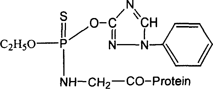 Preparation of triazoline artificial semi-antigen, antigen and antibody