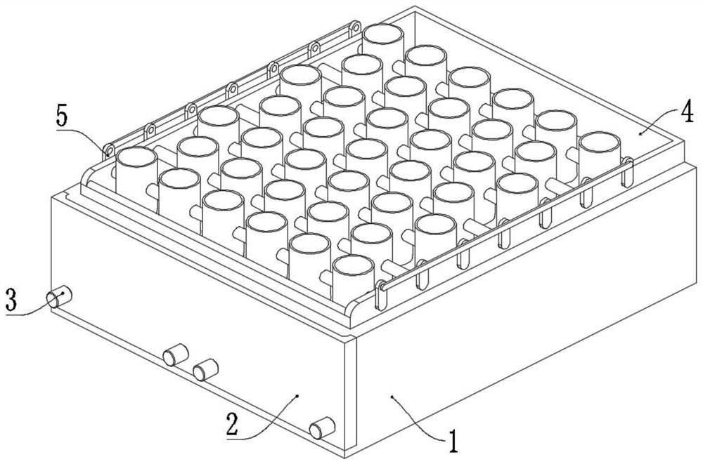 Nasopharynx cancer circulating tumor cell detection kit