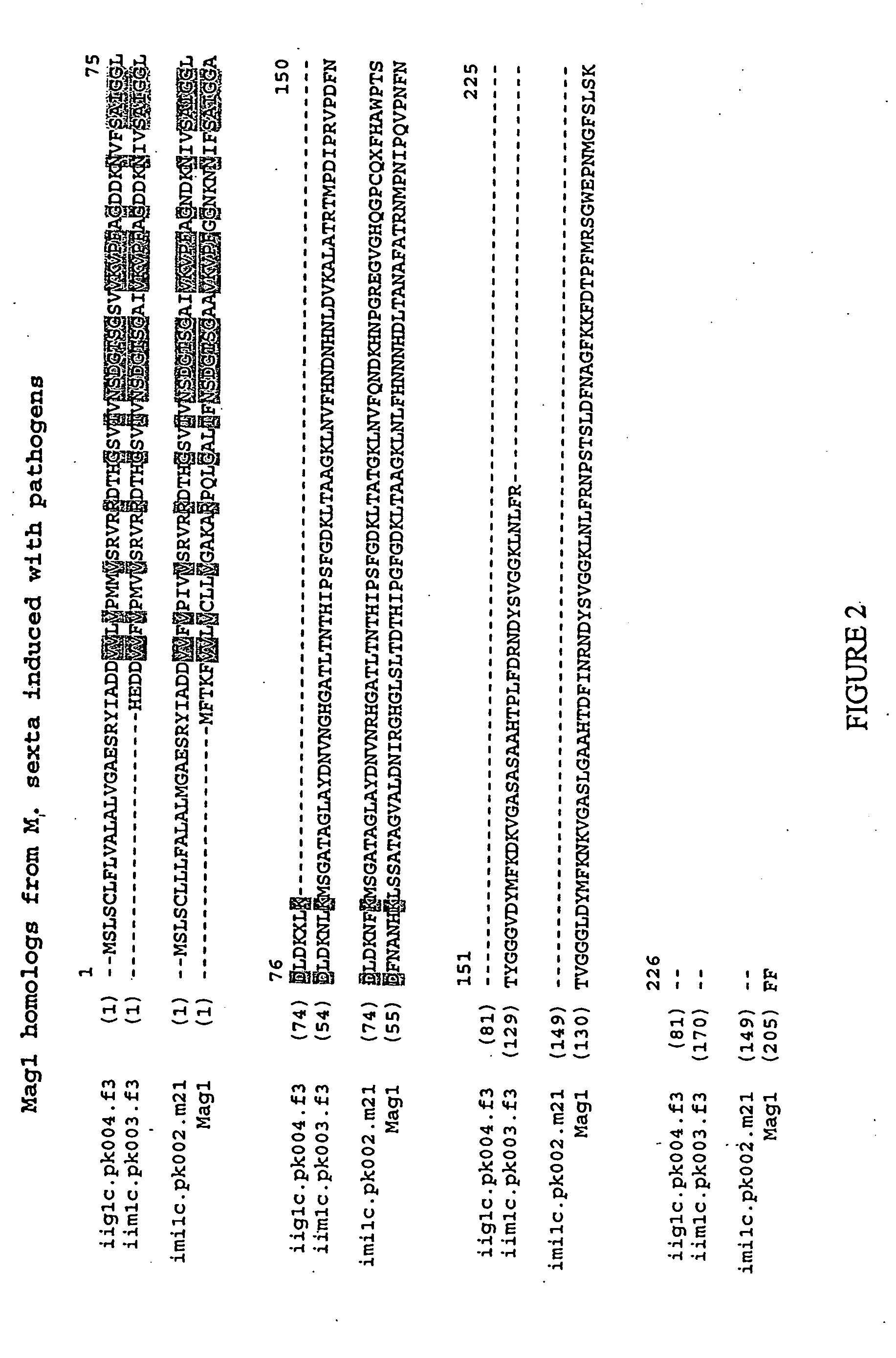 Fus6 family antimicrobial polypeptides and their uses