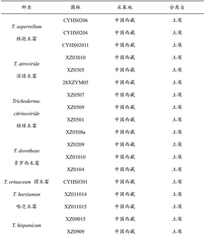 Trichoderma.citrinoviride strain XZ0509 and application thereof