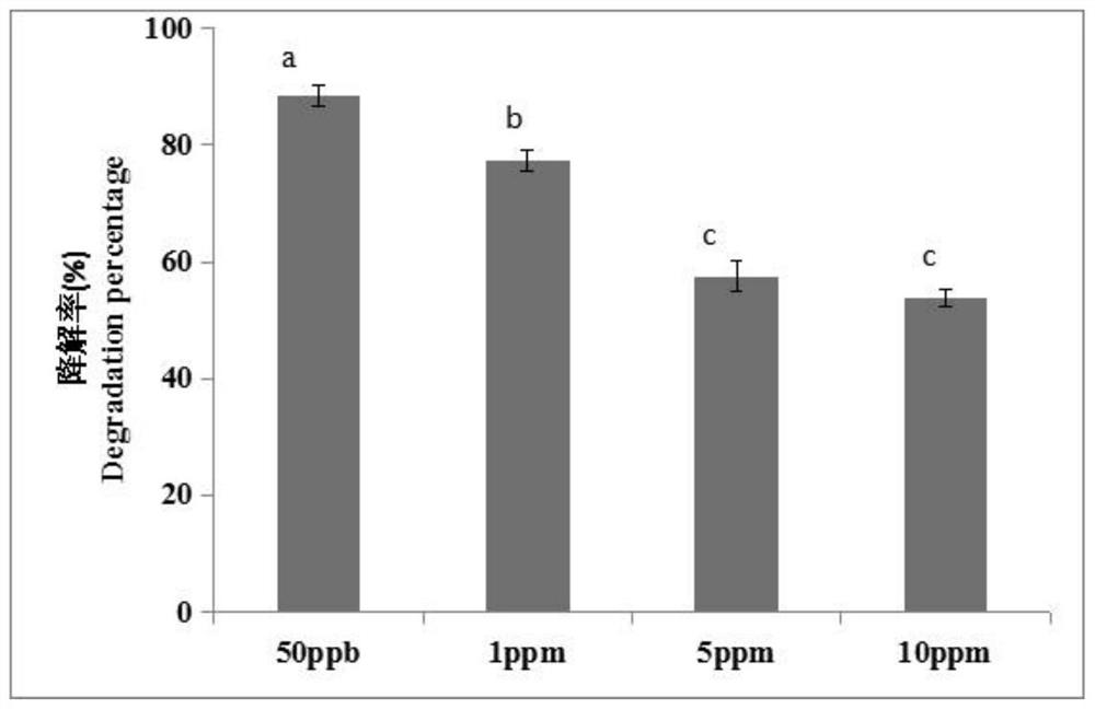 Trichoderma.citrinoviride strain XZ0509 and application thereof