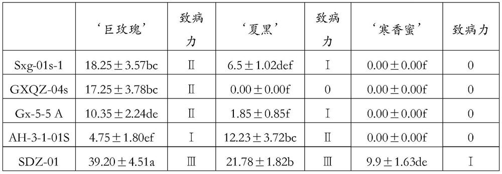 Evaluation method of grape canker pathogenicity to grape