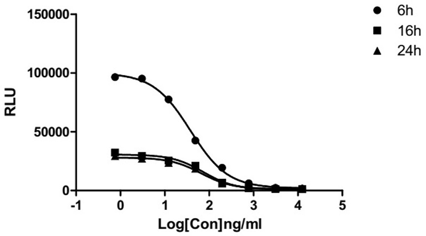 A method for determining the biological activity of human IL-36/IL36R/IL1RACP pathway inhibitors