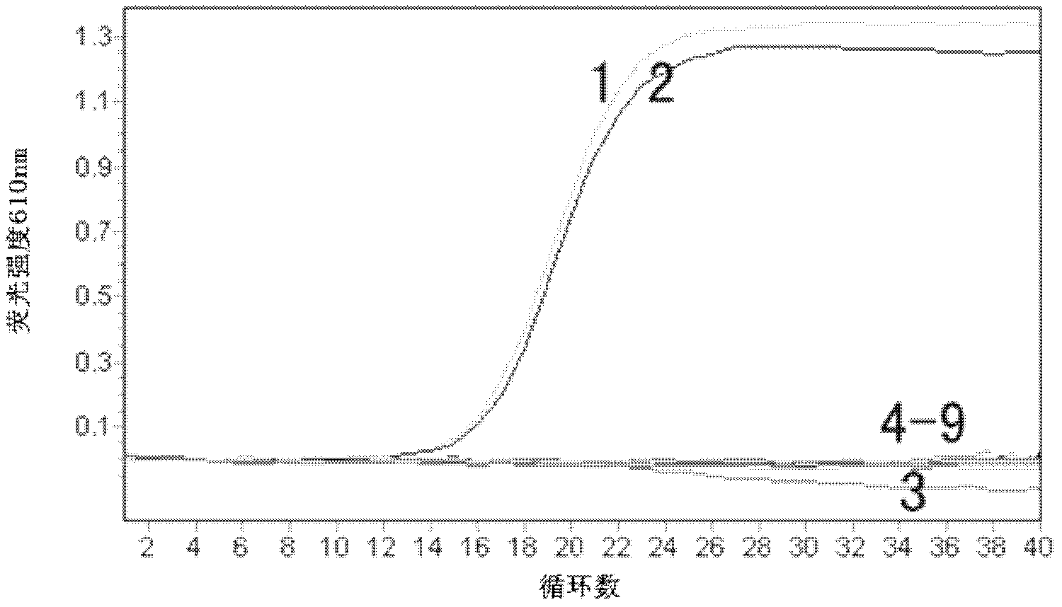 Double fluorescence quantitative reverse transcription-polymerase chain reaction (RT-PCR) detection kit for duck hepatitis virus I and Muscovy duck parvovirus