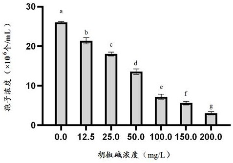 Application of piperine in preparation of bacteriostatic agent for preventing and treating tomato pathogenic bacteria