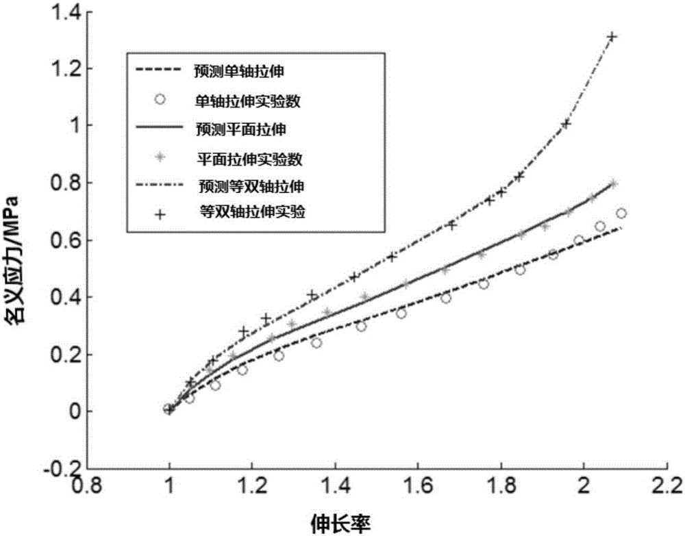 Isotropy incompressible hyperelastic body constitutive model and application thereof