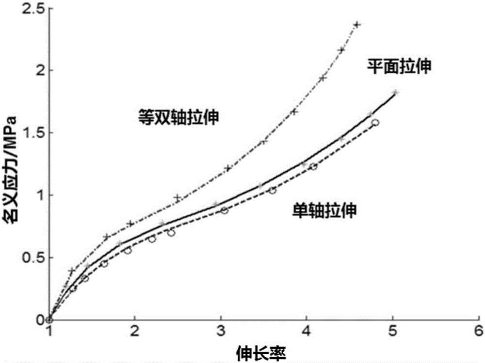 Isotropy incompressible hyperelastic body constitutive model and application thereof