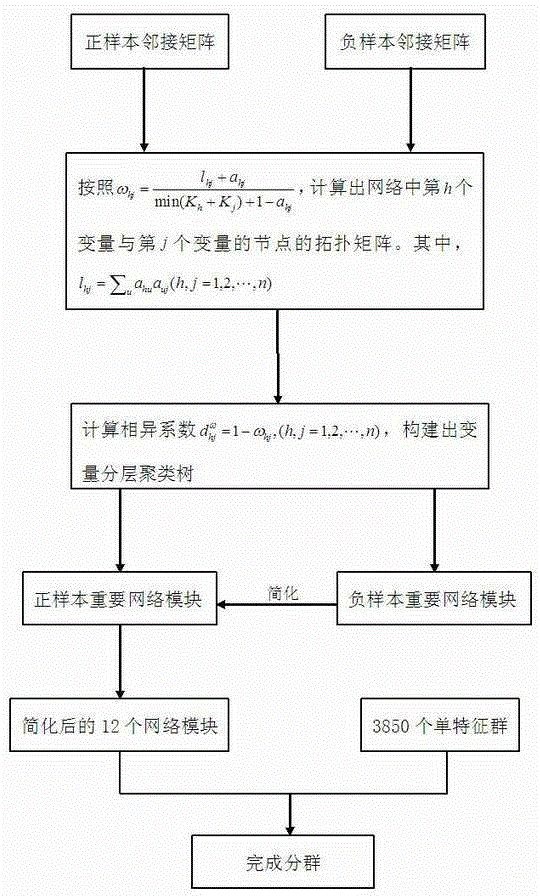 Method for clustering lasso cluster characteristics based on network analysis