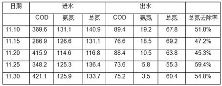 Modified polyurethane carrier and preparation method thereof