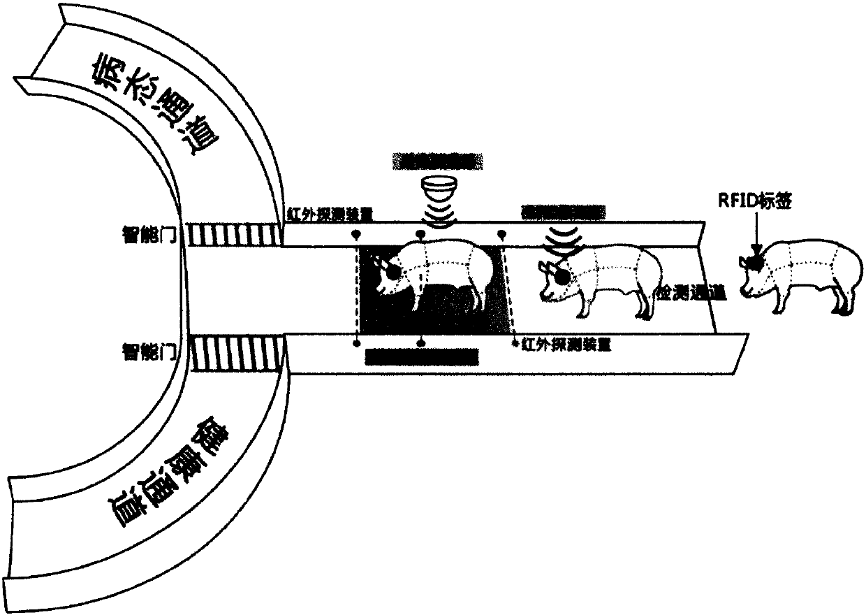 Animal husbandry intelligent system based on Internet of Things technology