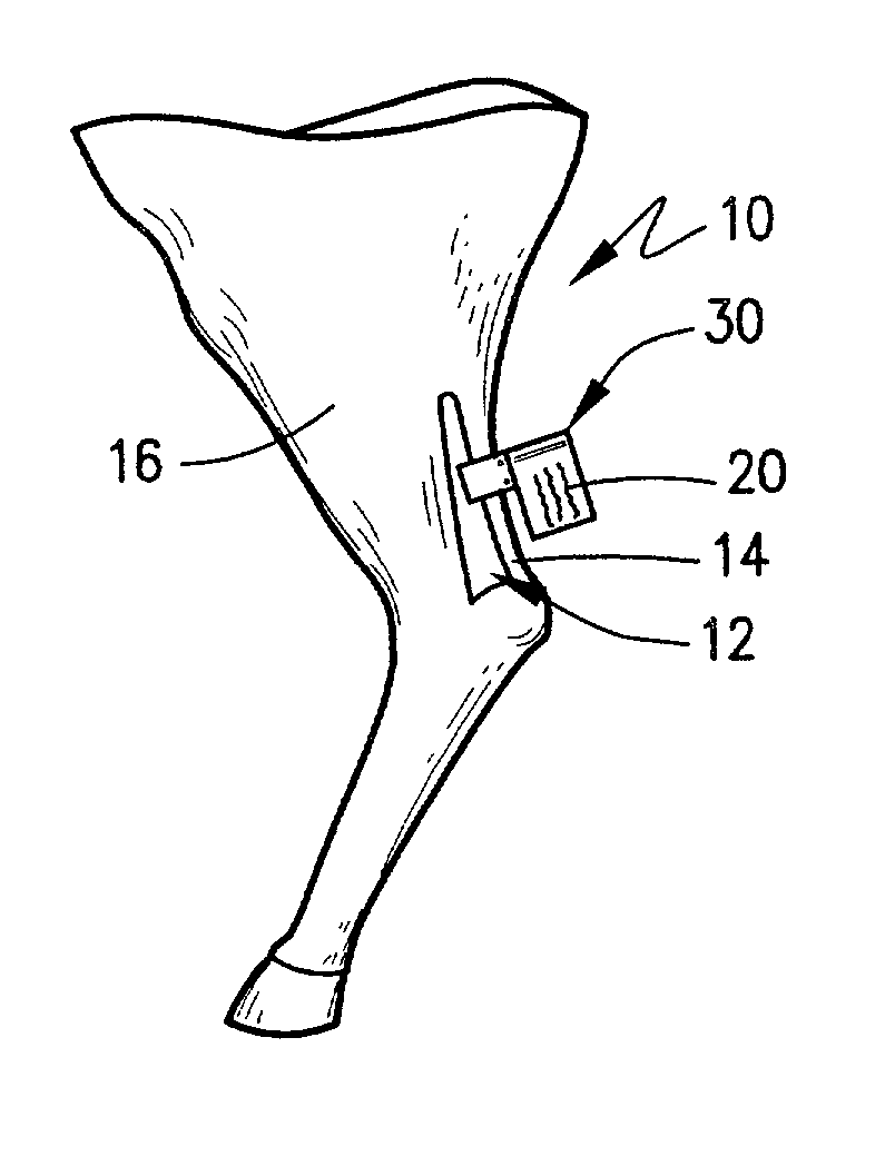 Identification tag apparatus