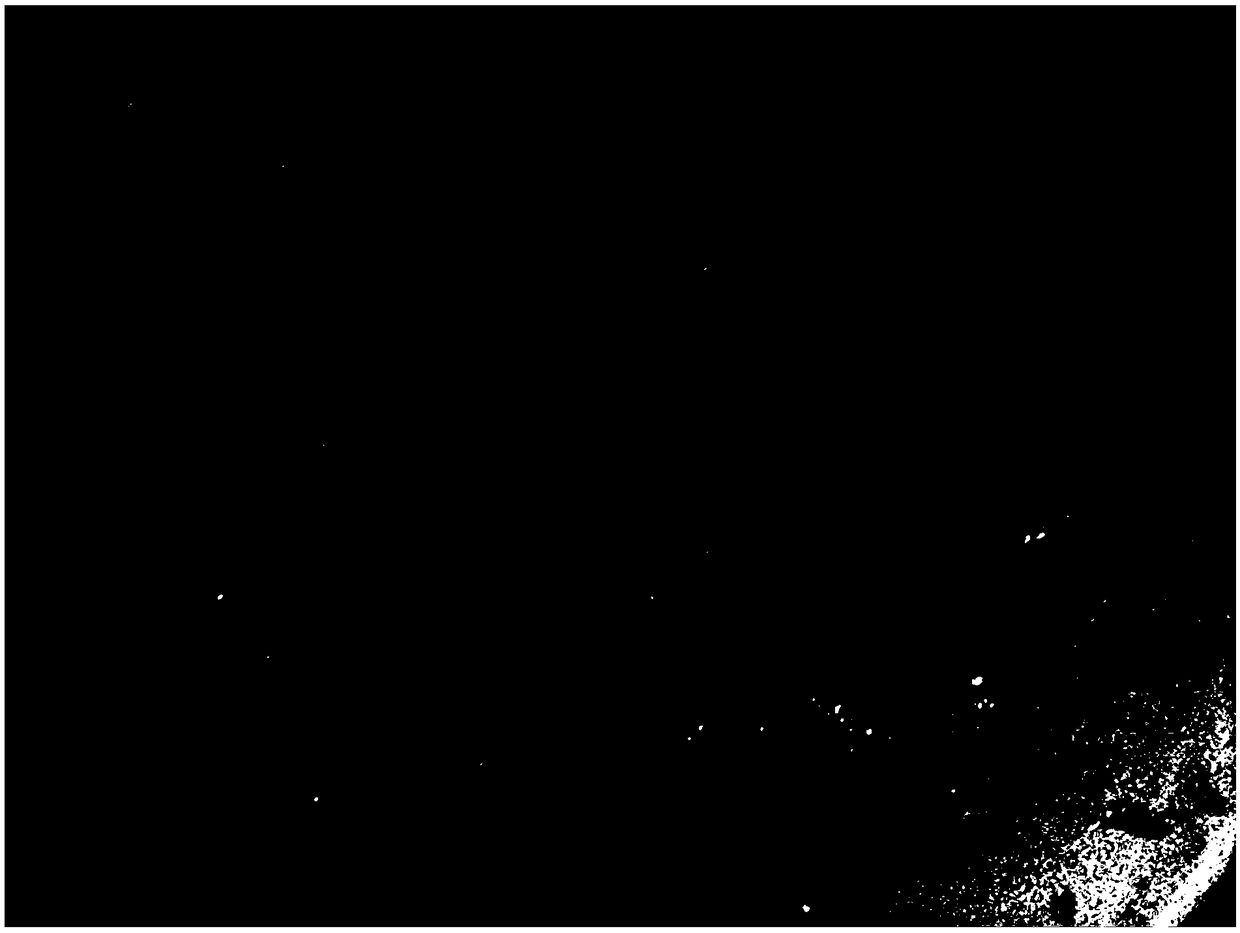 Methylobacterium strain and application thereof