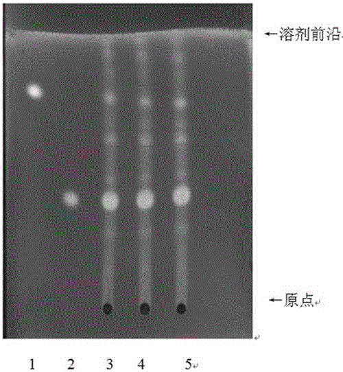 Thin-layer identification method for septemlobate kalopanax bark formula granules