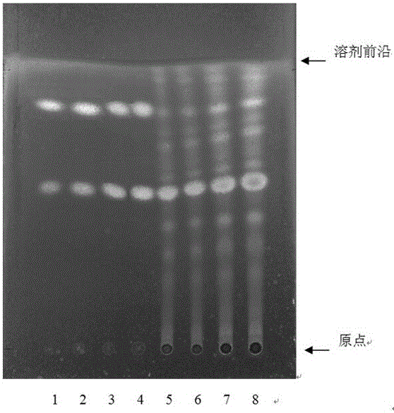 Thin-layer identification method for septemlobate kalopanax bark formula granules