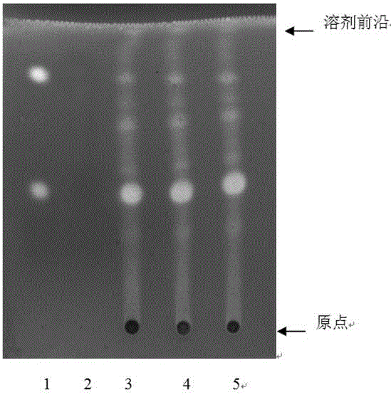 Thin-layer identification method for septemlobate kalopanax bark formula granules