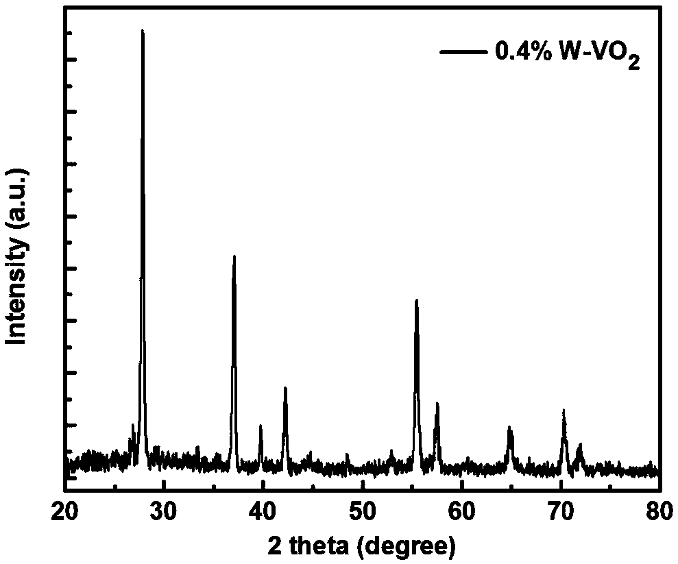 Method for preparing tungsten-doped porous vanadium dioxide powder and thin film by virtue of cotton sacrifice template method