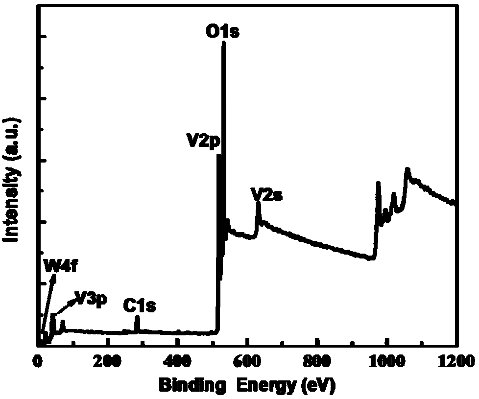 Method for preparing tungsten-doped porous vanadium dioxide powder and thin film by virtue of cotton sacrifice template method