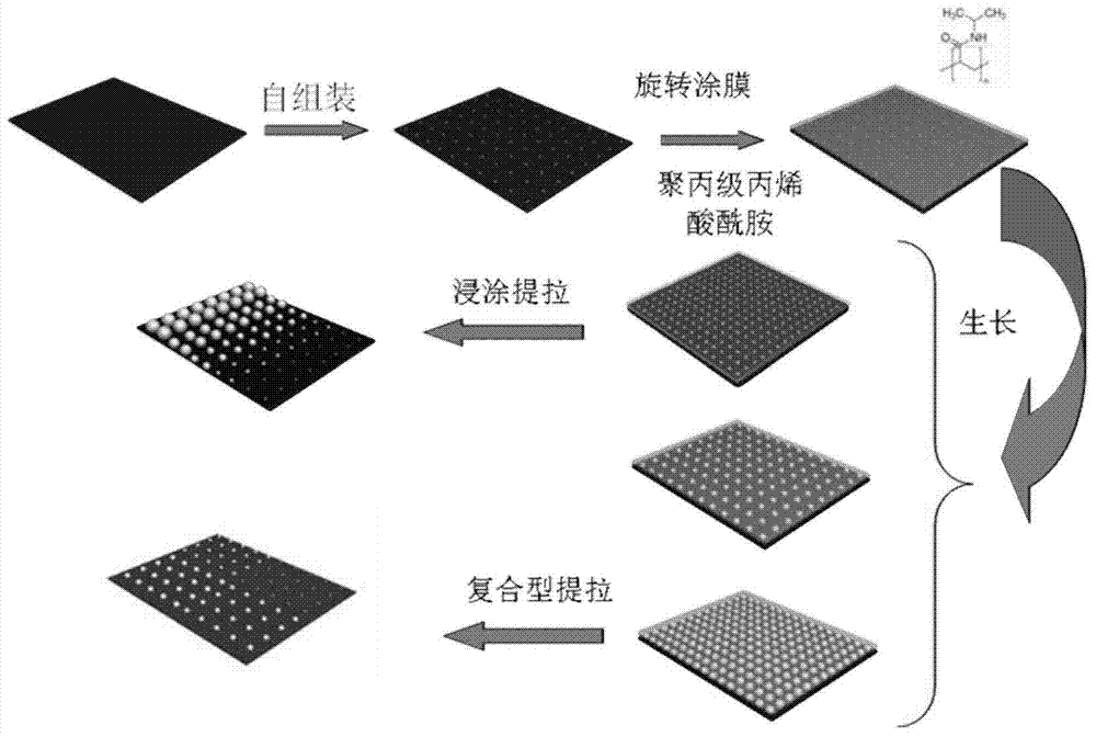 A preparation method of multiple metal nanostructures