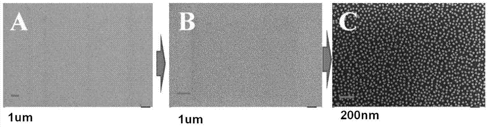 A preparation method of multiple metal nanostructures