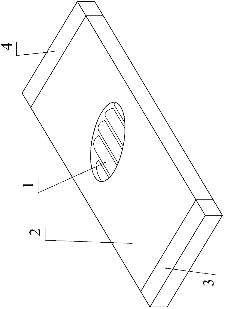 Actively deformed stressed-skin structure based on pneumatic muscles