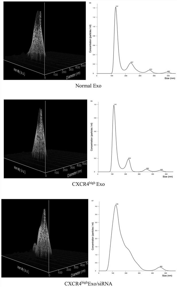 Preparation and application of mesenchymal stem cell exosome for delivering RNA (Ribonucleic Acid) medicine at targeted damaged part