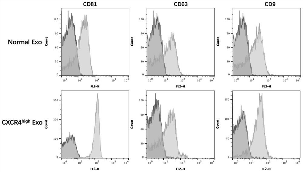 Preparation and application of mesenchymal stem cell exosome for delivering RNA (Ribonucleic Acid) medicine at targeted damaged part