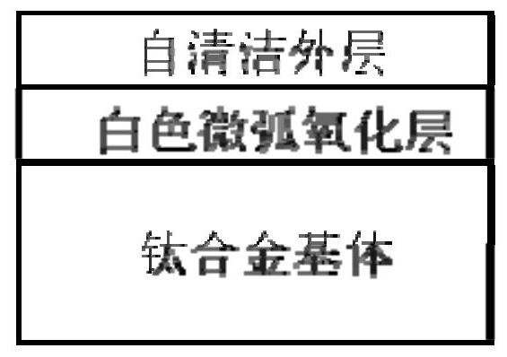 Whitening and self-cleaning coating of surface of titanium alloy dental prosthesis and preparation method of coating