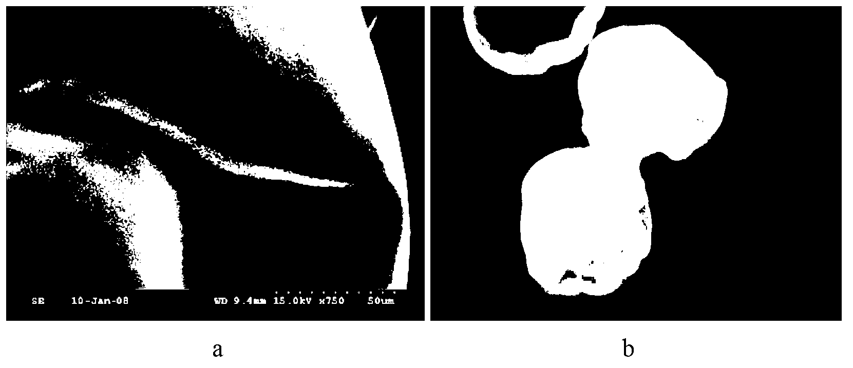 Preparation method of cell-loaded biological microcapsules