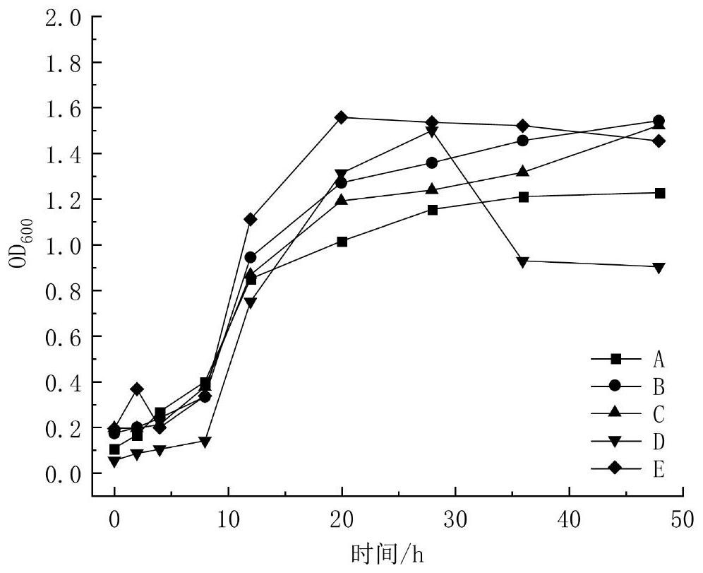 Microbial agent for deodorizing livestock and poultry manure as well as preparation method and application of microbial agent