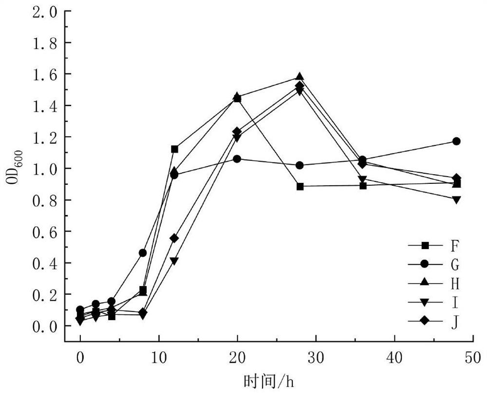 Microbial agent for deodorizing livestock and poultry manure as well as preparation method and application of microbial agent