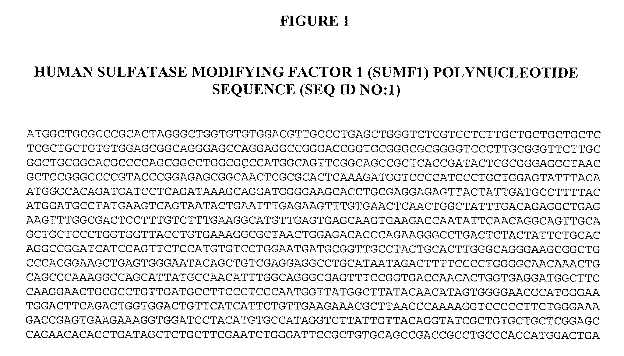 Manufacture of Active Highly Phosphorylated Human Lysosomal Sulfatase Enzymes and Uses Thereof