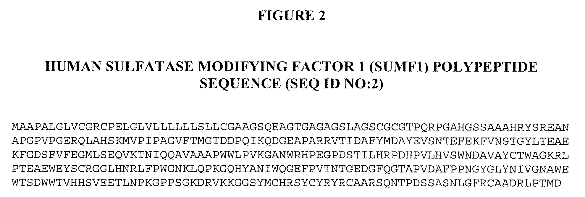 Manufacture of Active Highly Phosphorylated Human Lysosomal Sulfatase Enzymes and Uses Thereof