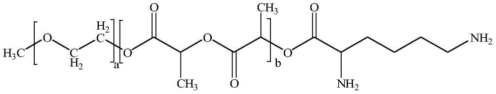 Taxol freeze-dried powder preparation containing excipient and preparation method of taxol freeze-dried powder preparation