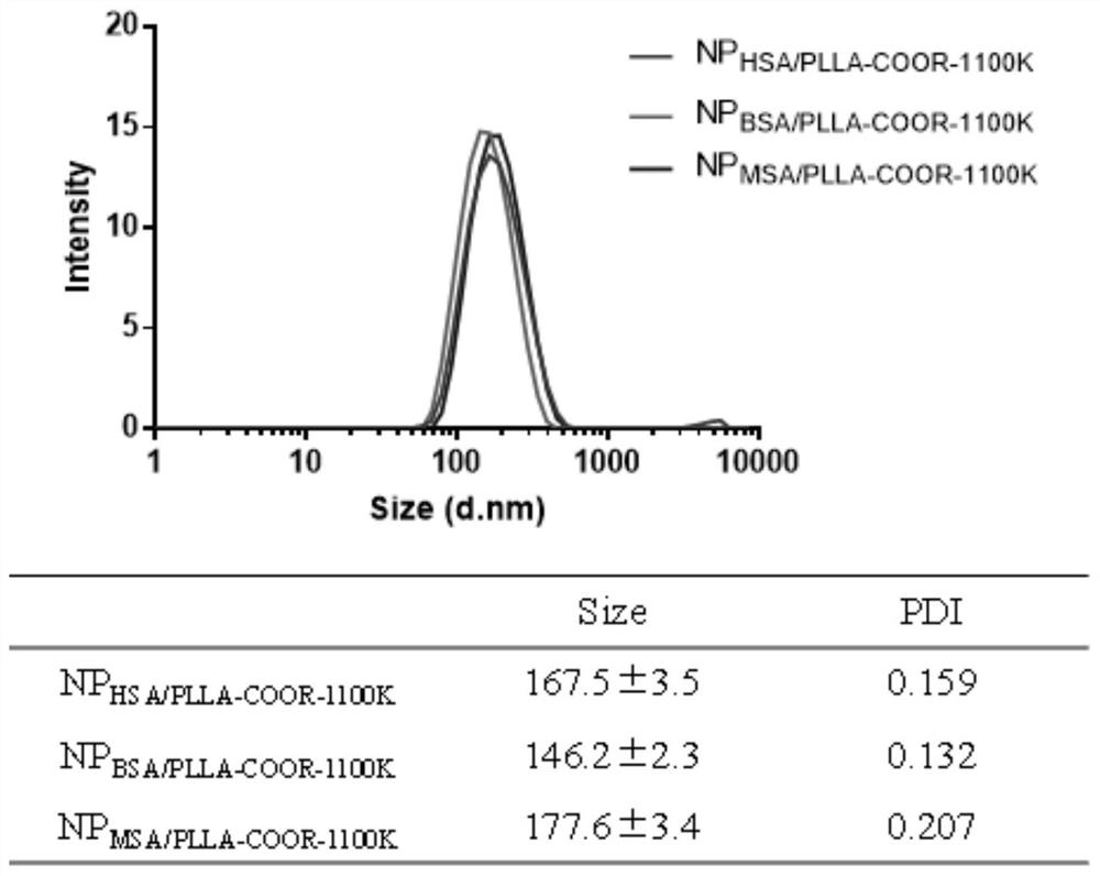 Protein type nanoparticle for delivery of multiple specific antibodies, and application and preparation method of protein type nanoparticle